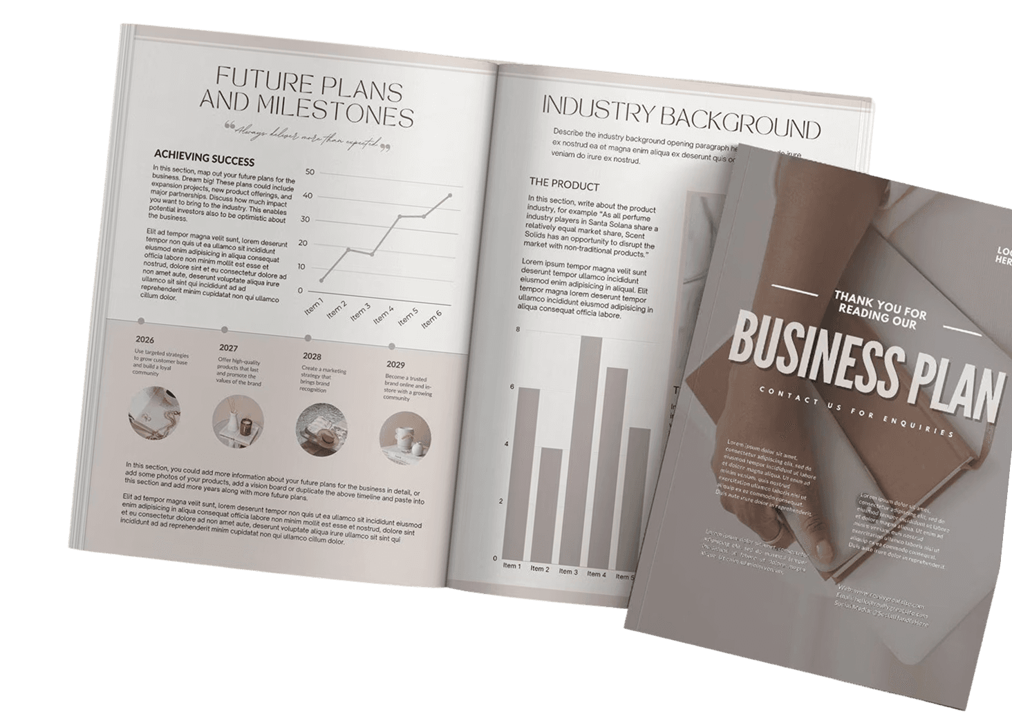 Business plan documents and executive summary